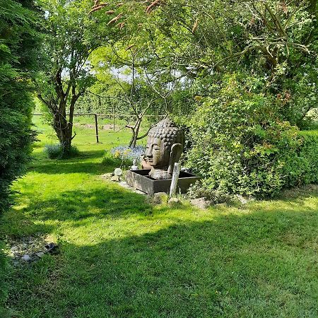 Un Petit Coin De Paradis 2 Clairfontaine Екстер'єр фото